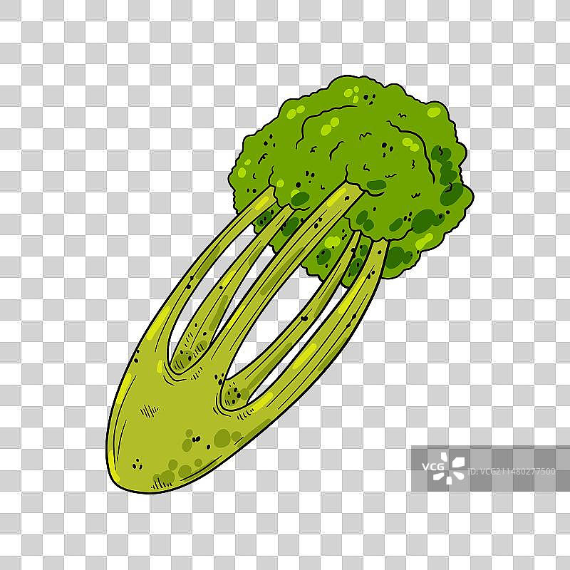 卡通芹菜图片素材