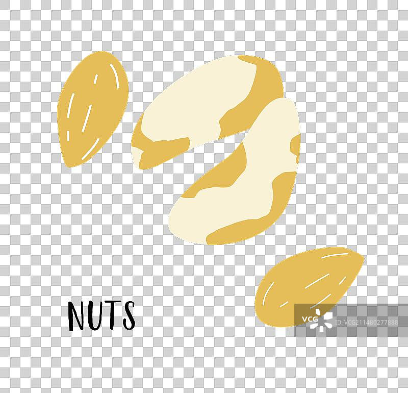 巴西坚果和杏仁图片素材