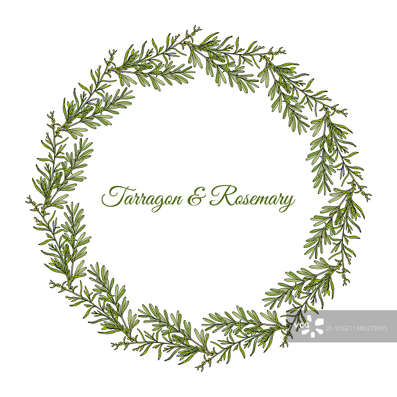 龙蒿和迷迭香手绘花环图片素材