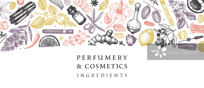 香水化妆品成分鲜花banner图片素材