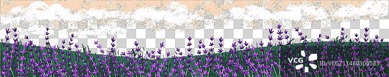 薰衣草田园风光全景图片素材