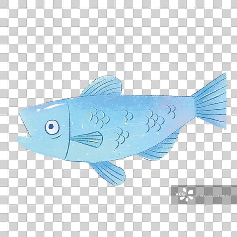 鱼在水中游泳的特写镜头图片素材