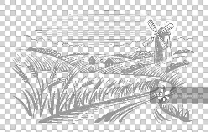 小麦有机农业景观农场图片素材