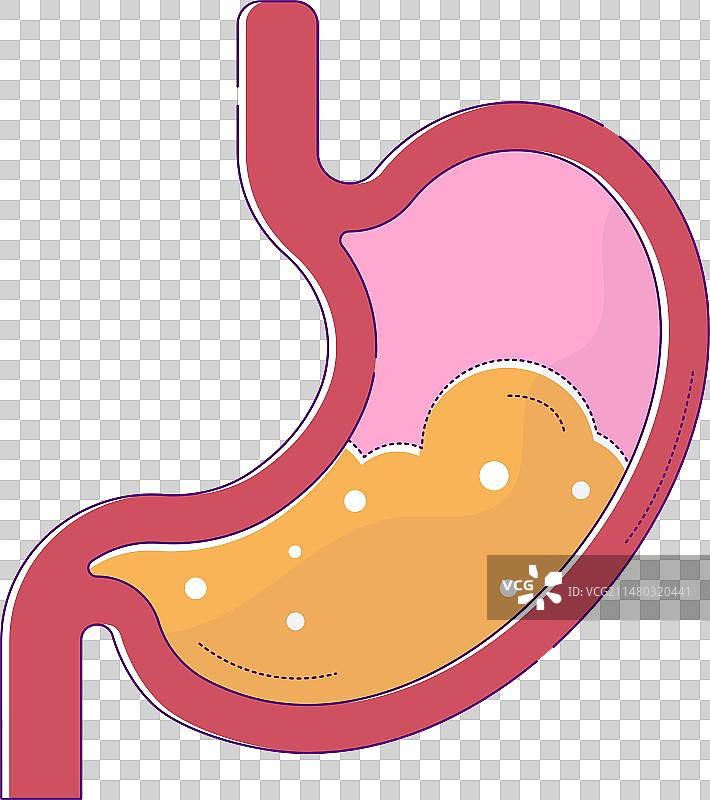 扁平风格的人体胃部与胃液图片素材