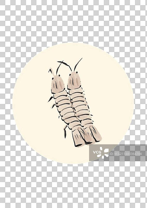 水墨风青岛美食插画元素-皮皮虾图片素材