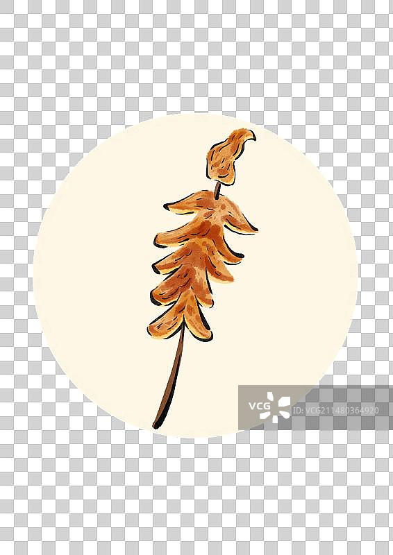 水墨风青岛美食插画元素-烤鱿鱼图片素材