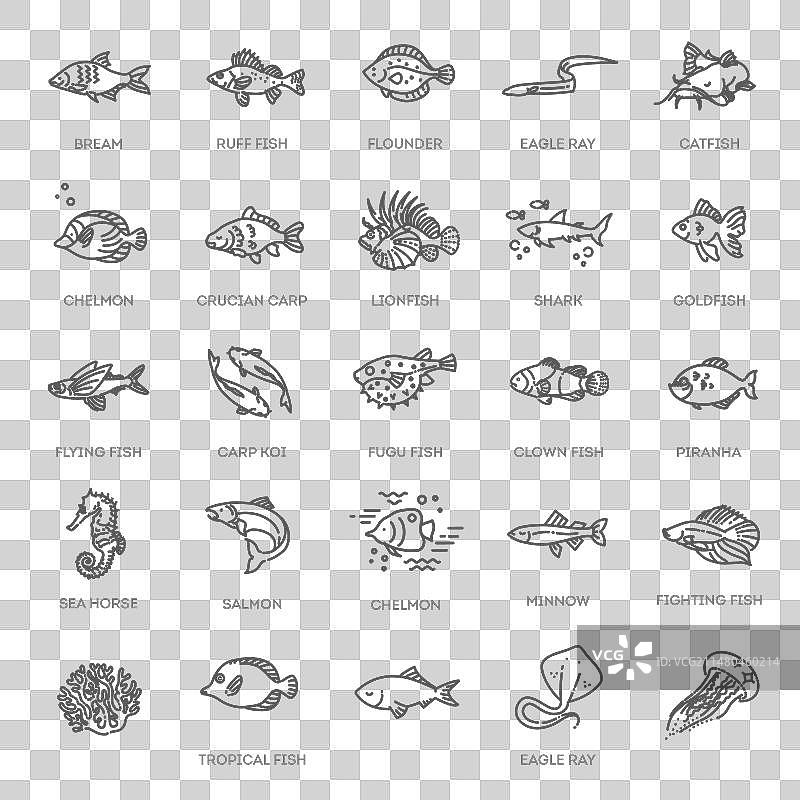 鱼类轮廓图标合集图片素材
