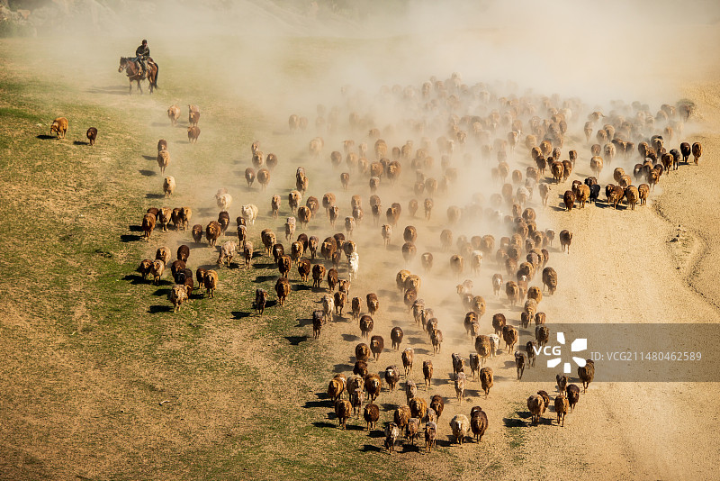 哈萨克牧民转场，摄于新疆福海萨尔布拉克古牧道。图片素材