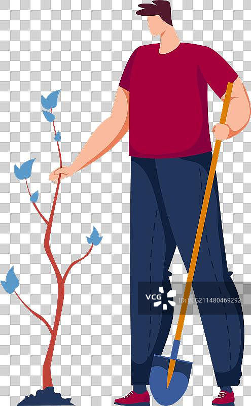 男人手持蓝叶树苗进行种植图片素材