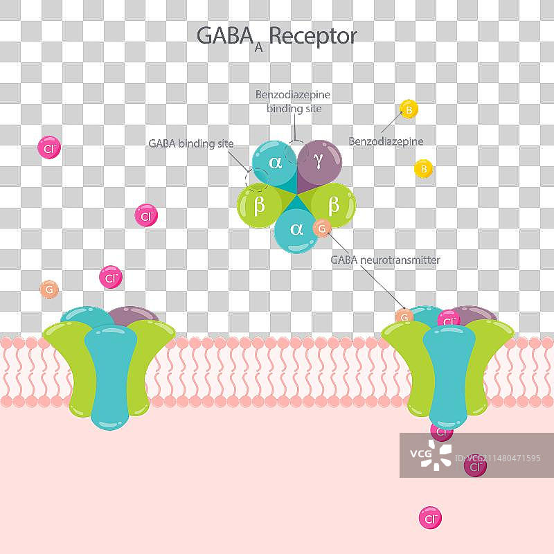GABA受体神经学图片素材