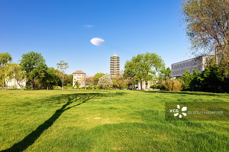 春天早晨阳光明媚的北京大学恬园草坪与博雅塔图片素材