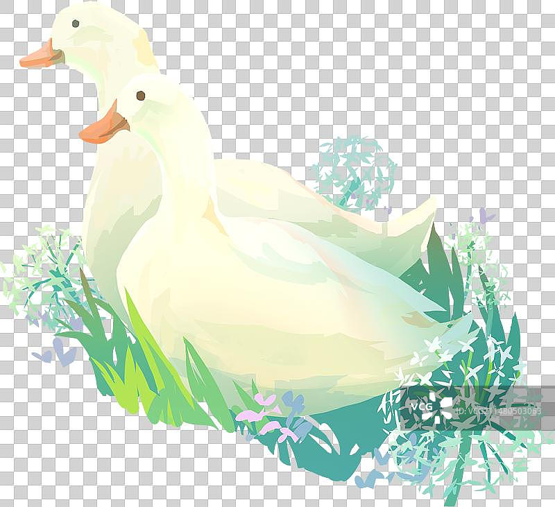 节气动物自然鸭子蒲公英草地小清新治愈免抠元素图片素材