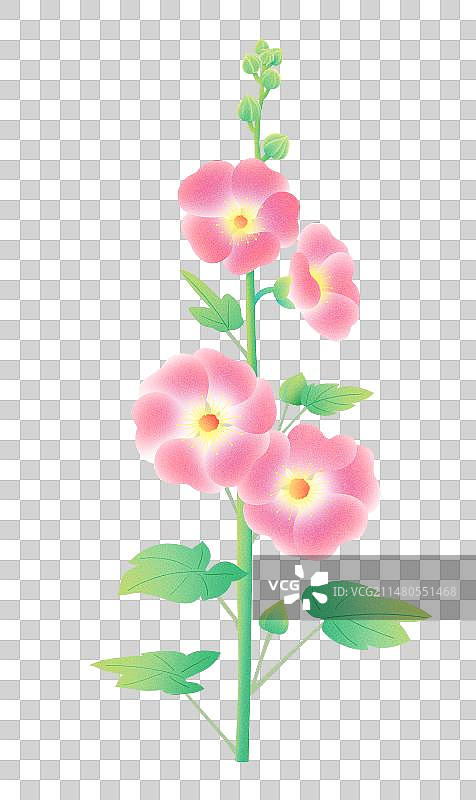 弥散风蜀葵免抠元素图片素材