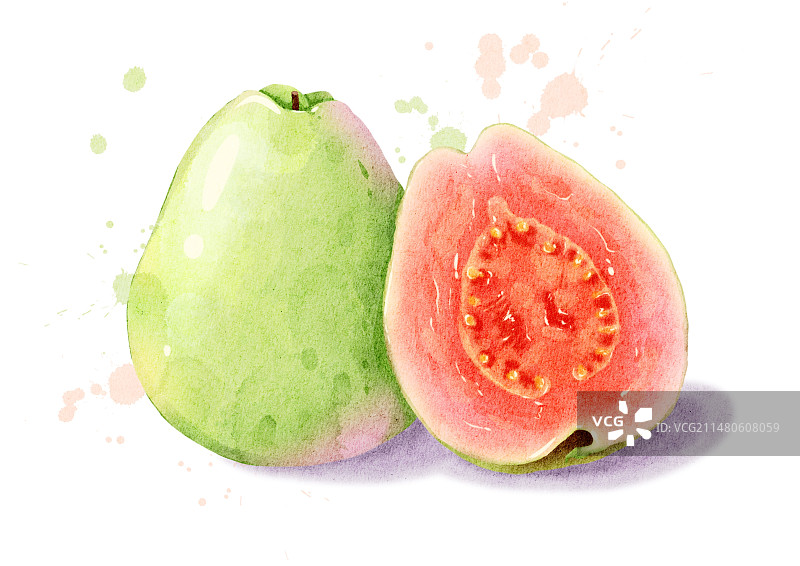 水彩水彩红心芭乐插画图片素材