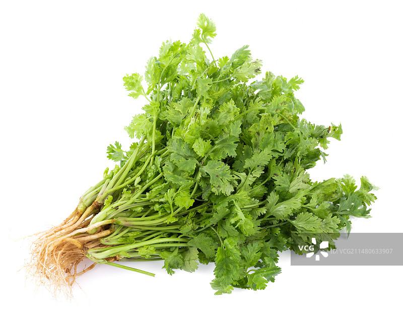 日常蔬菜需求图片素材