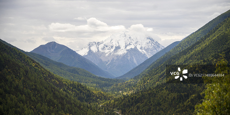 翠绿秘境中的雪顶巨兽图片素材