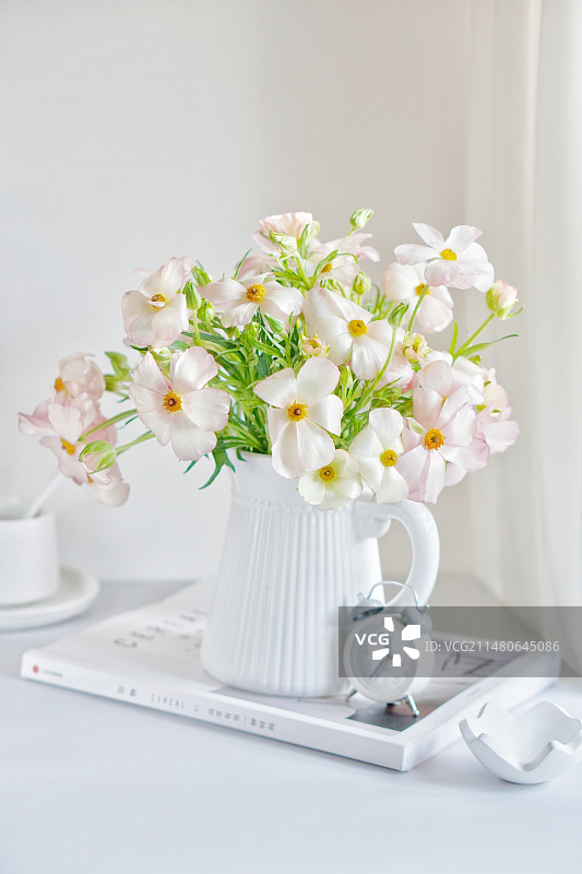 蝴蝶洋牡丹图片素材