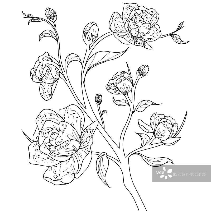 国风-山茶花图片素材