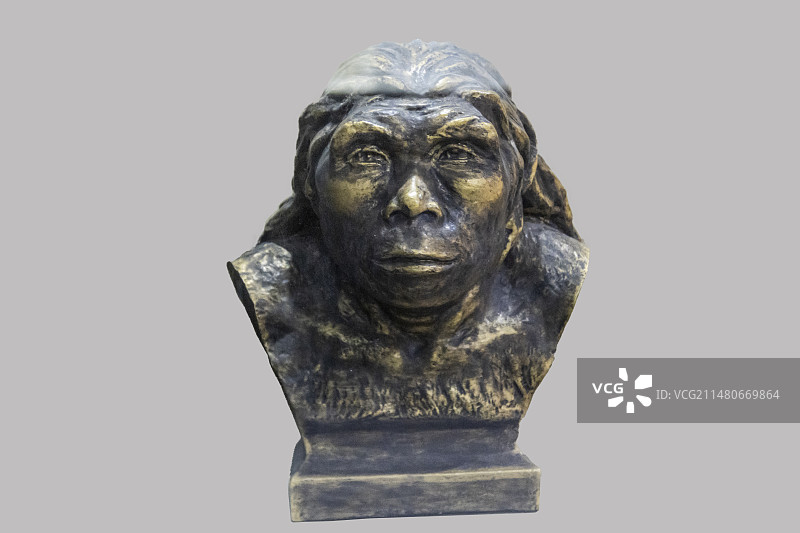 云南省楚雄彝族自治州元谋县元谋人博物馆：蓝田人复原像：距今115—60万年图片素材