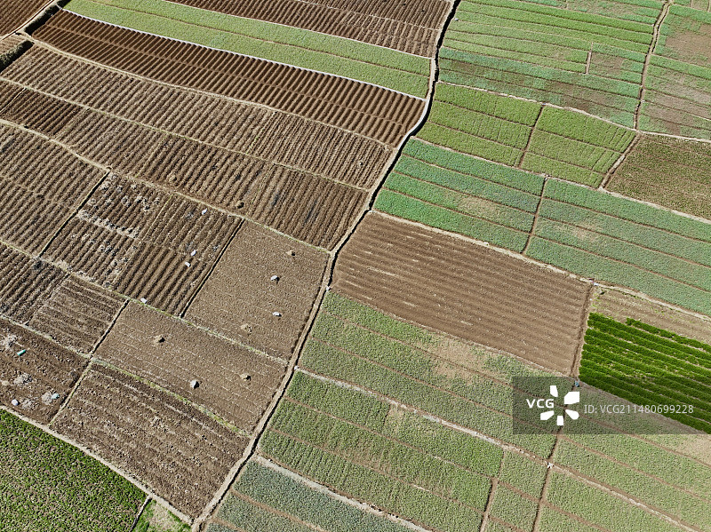航拍美丽农田图片素材