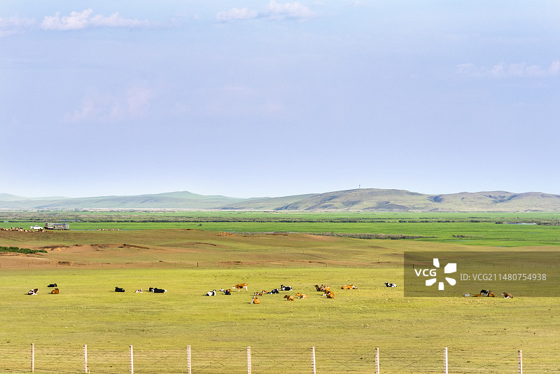 夏季呼伦贝尔草原湿地俄罗斯边境景观图片素材