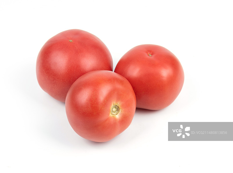 白背景西红柿图片素材