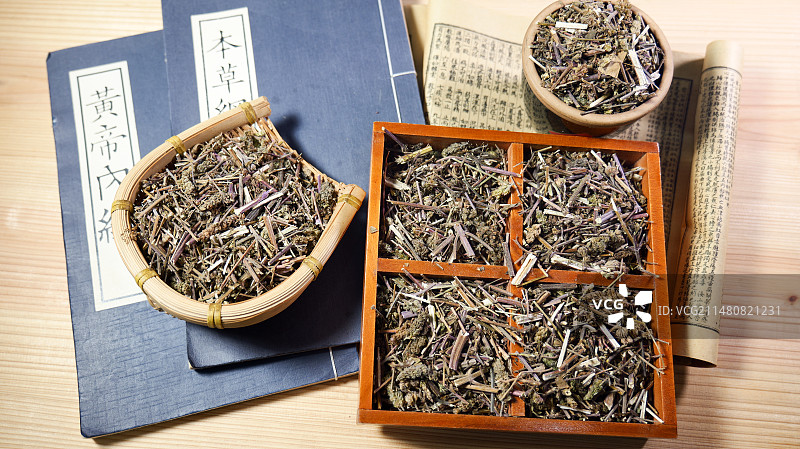 荆芥中药材图片素材