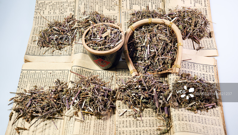 荆芥中药材图片素材