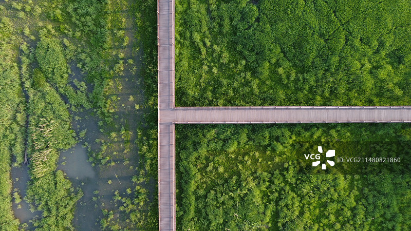 湿地公园图片素材