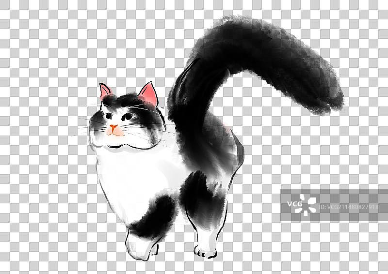 猫咪伸懒腰插画图片素材
