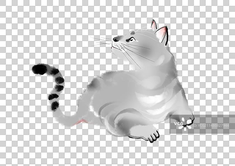 猫咪伸懒腰插画图片素材