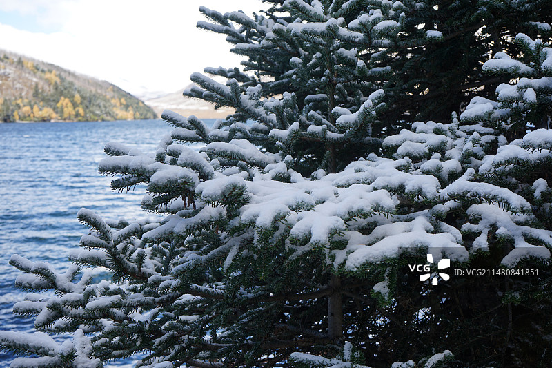 木格措016图片素材