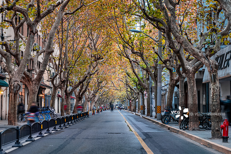 上海武康路春天秋天的风景图片素材