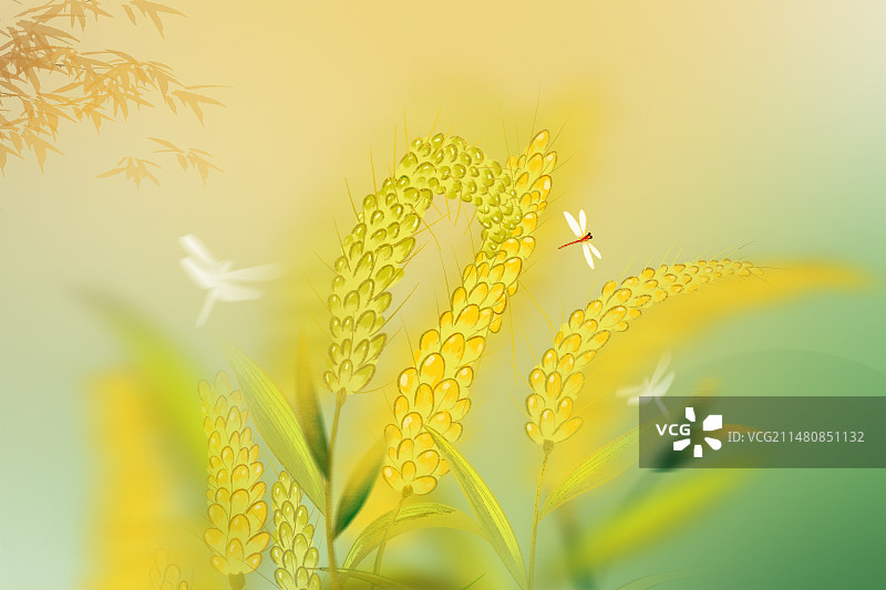 中国风二十四节气系列插画-夏天 户外风景 运动模糊背景 风吹麦穗插画 横版图片素材