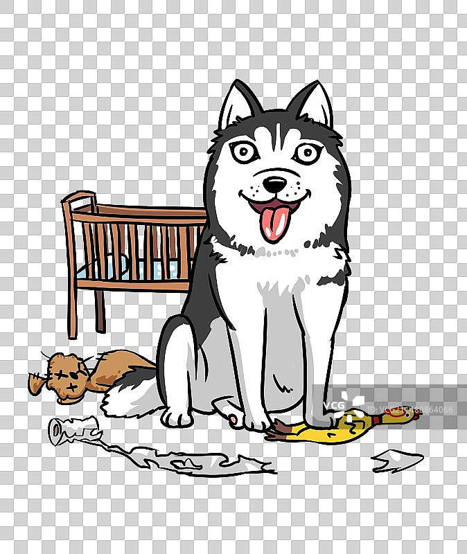 哈士奇图片素材