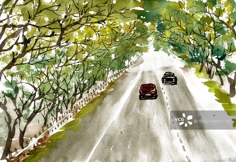 绿道上奔驰的汽车图片素材