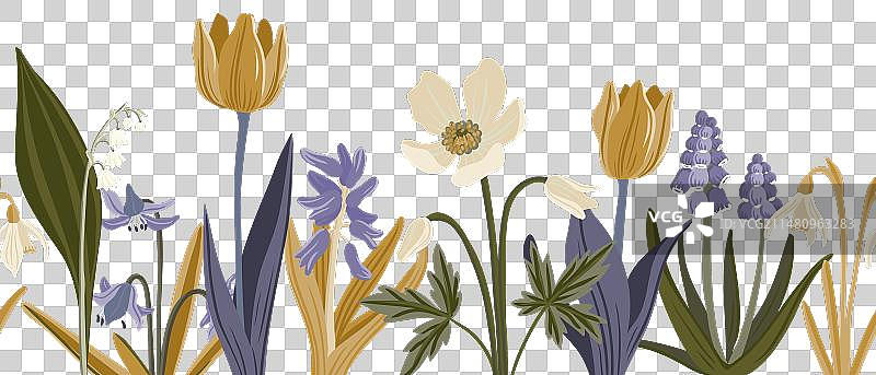 花园花卉绘画图片素材