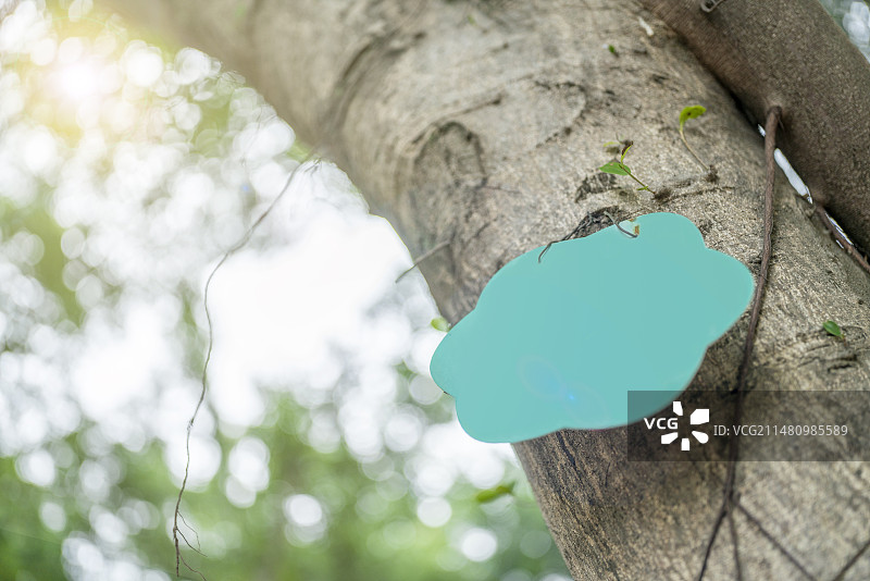 特写树上挂着的告示牌图片素材