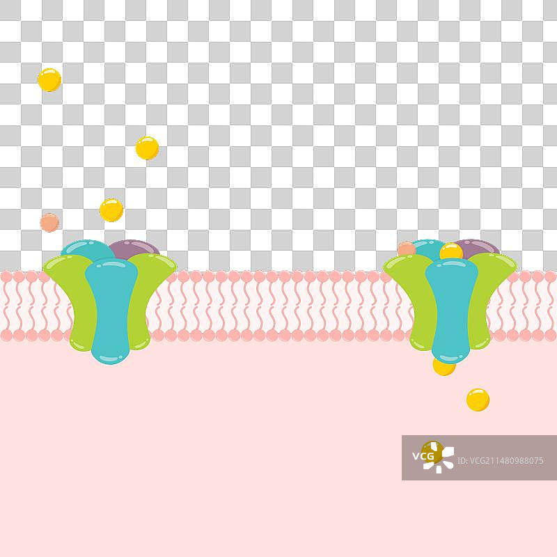 受体模板图片素材