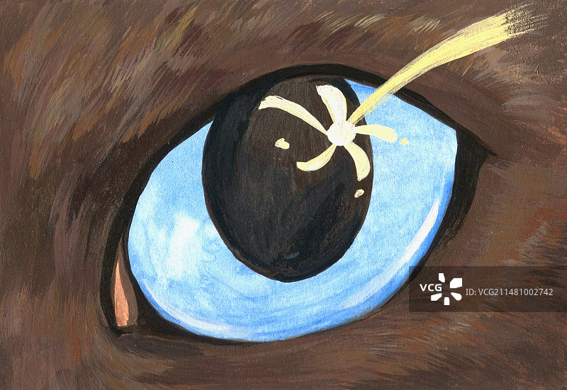 猫眼与星星图片素材