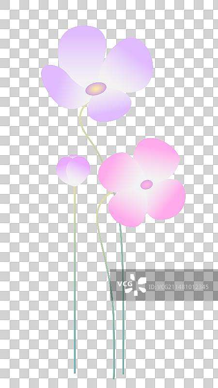 格桑花简约渐变花卉图片素材
