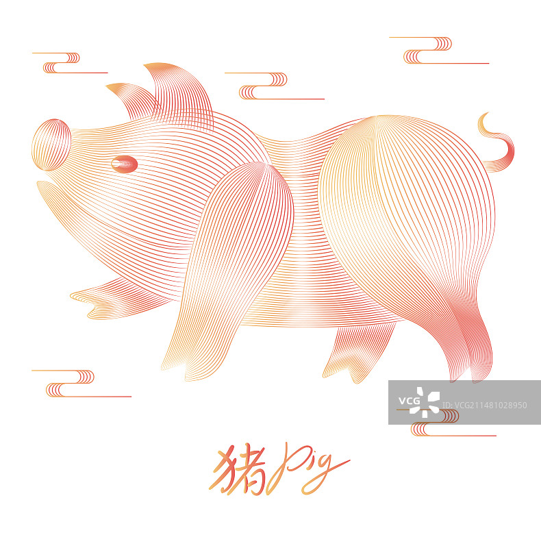 十二生肖猪线条插画图片素材