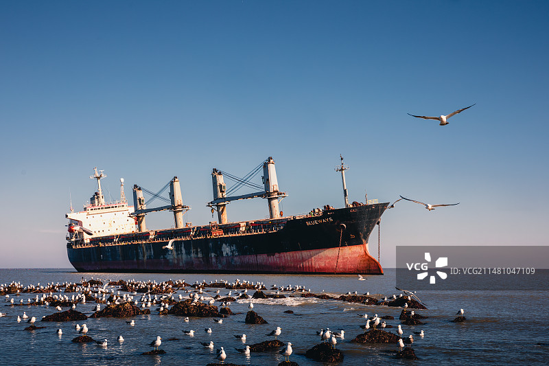 威海荣成搁浅货轮布鲁威斯号图片素材
