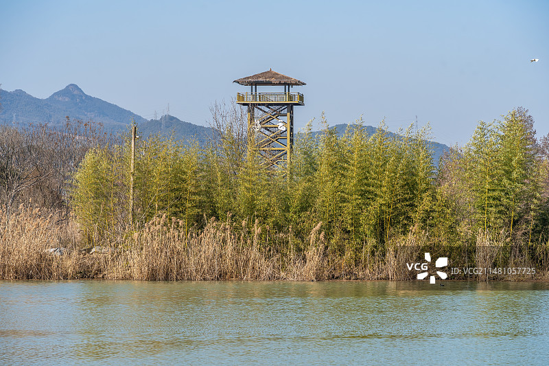 杭州富阳 阳陂湖 湿地公园 生态环境 观鸟亭图片素材