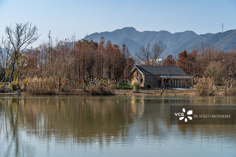 杭州富阳 阳陂湖 湿地公园 生态环境 美丽乡村图片素材