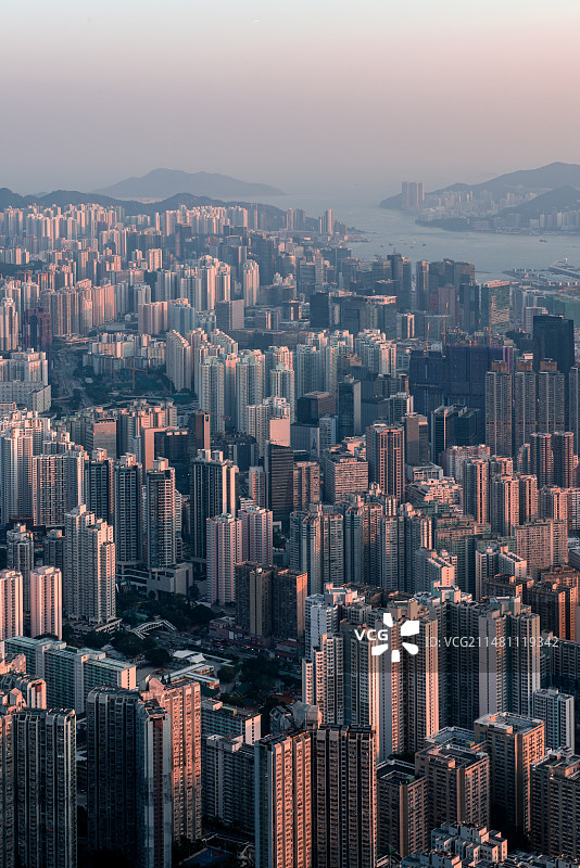 九龙半岛城市风光远景图片素材