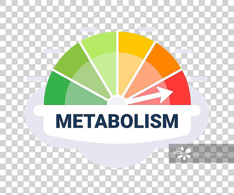 代谢率评估量表图片素材
