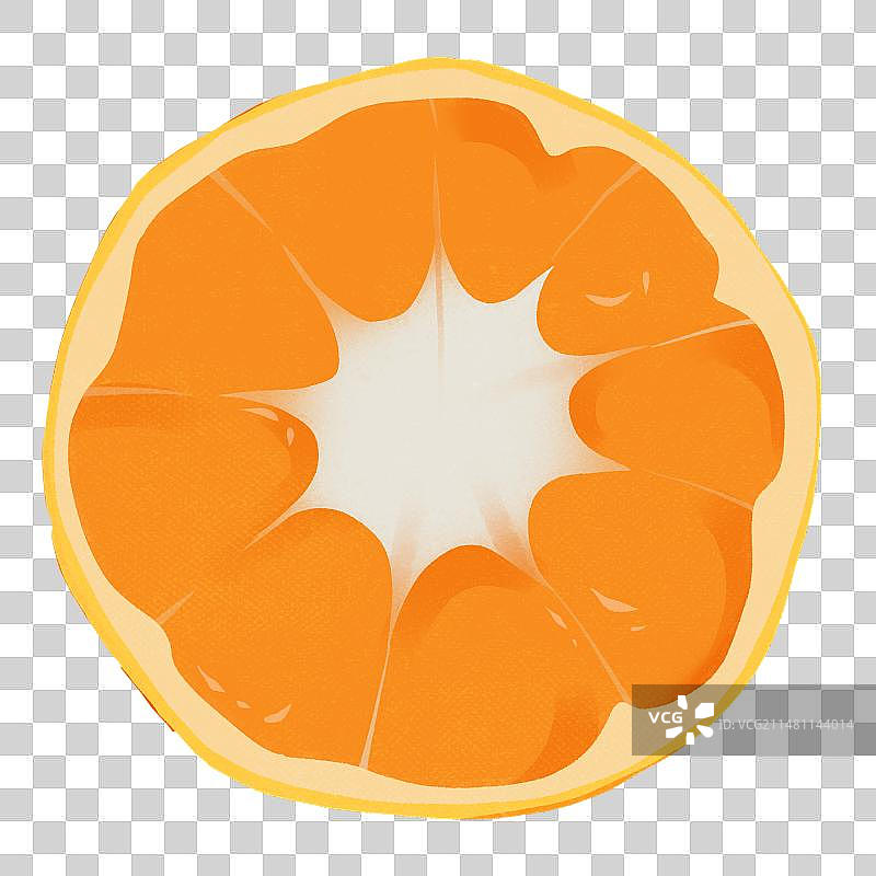 耙耙柑橘子水果手绘插画元素图片素材