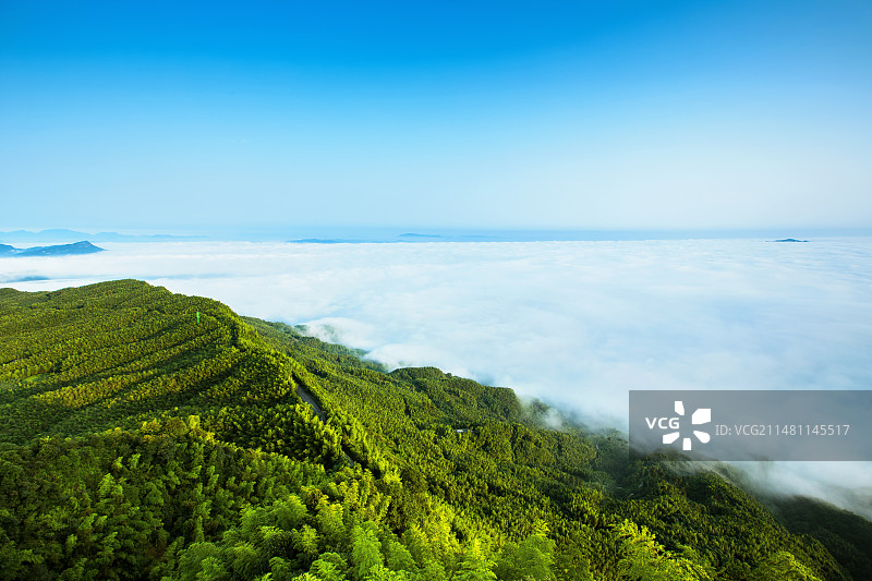 晨雾中的中国四川省宜宾市长宁县蜀南竹海风景区图片素材