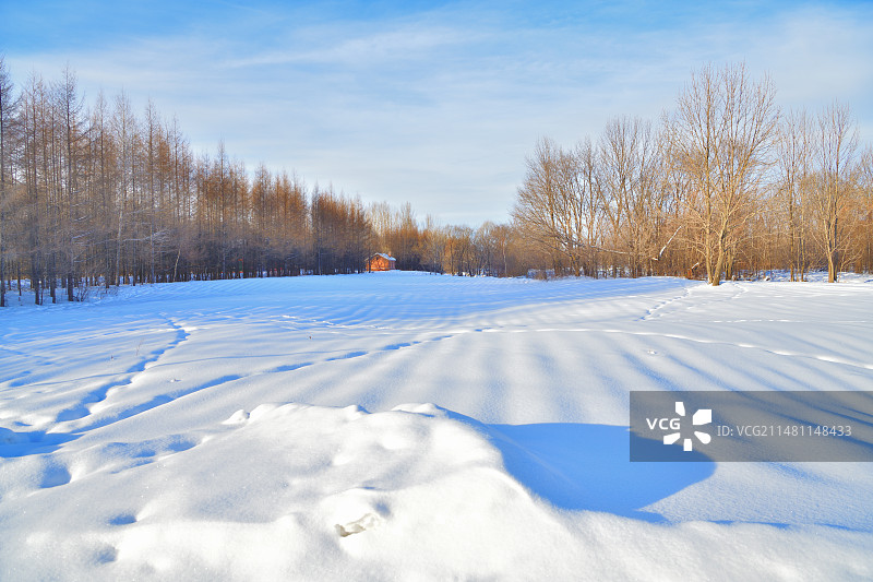 林海雪原里的红房子（拍摄于黑龙江省哈尔滨市尚志市）图片素材